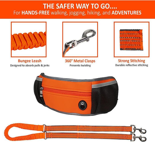 Penn Plax Dog Leash/Lead Strap in Orange color