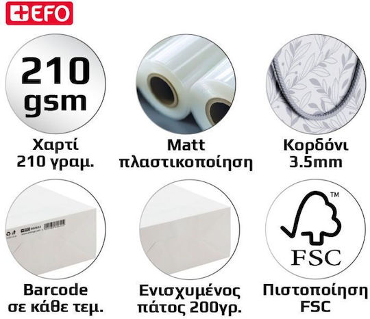 +Efo Χριστουγεννιάτικη Τσάντα για Δώρο Πολύχρωμη 18x22εκ. 12τμχ