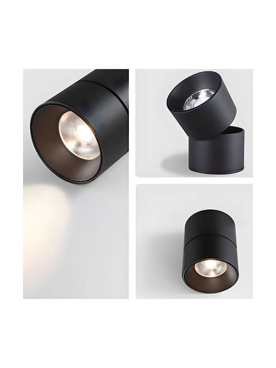 Spot Light LED Natürliches Weiß Spot in Schwarz Farbe