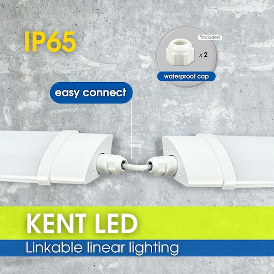 Vivalux LED Lumina liniară Lumină Plafon 45W Alb natural IP65 150cm