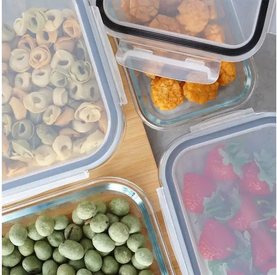Vilde Set of Glass Lunch Containers Transparent 9 Pieces