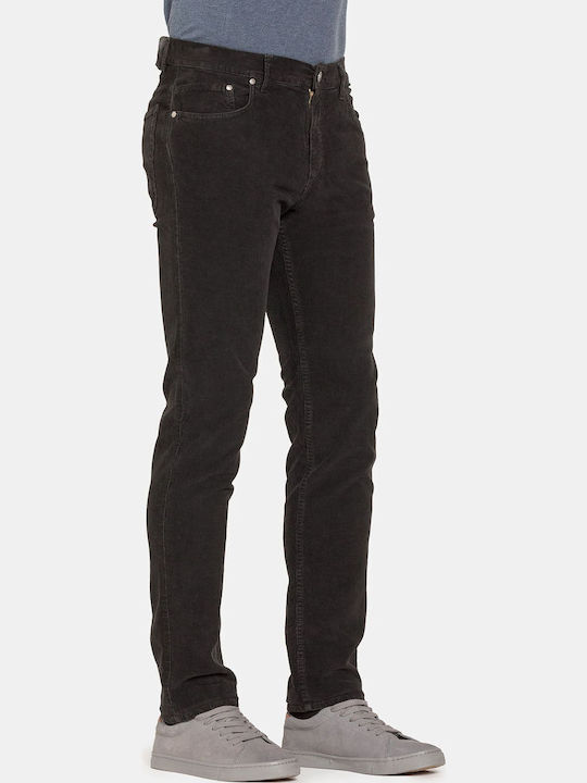 Carrera Jeans Carrera Jeans