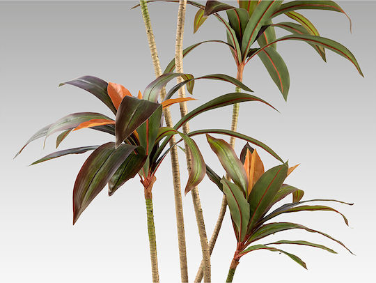Dracena Roja 281348 Artificial Plant H220 – Τεχνητό Φυτό Red Dracaena
