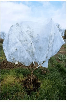 435234 Material antigel