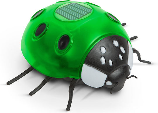 Solar Ladybug Lamp Green 14.5 X 12 X 6 Cm 6 Warm White LEDs