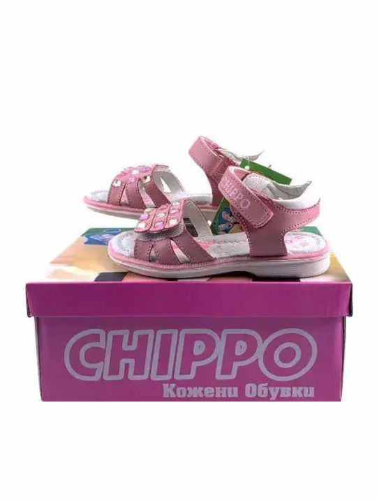 Chippo