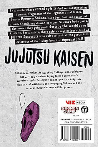 Jujutsu Kaisen Vol. 14