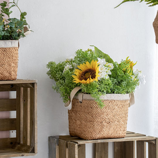 Artekko Plant Pot Concrete Beige 16x16x14cm 2pcs