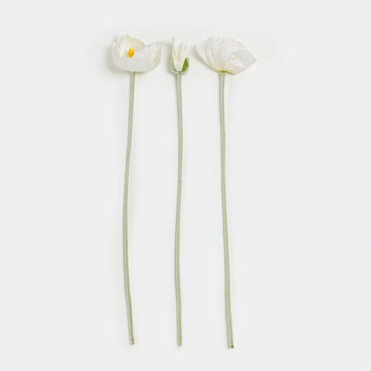 Παπαρούνα Μπεζ 12τμχ InTheBox Παπαρούνα Μπεζ 12τμχ InTheBox