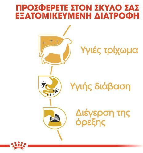 Royal Canin Wet Dog Food Pouches With Tuna Fish And Meat 12x85gr