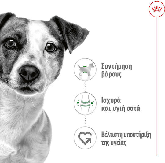 Royal Canin Nassfutter Hunde 12x195gr