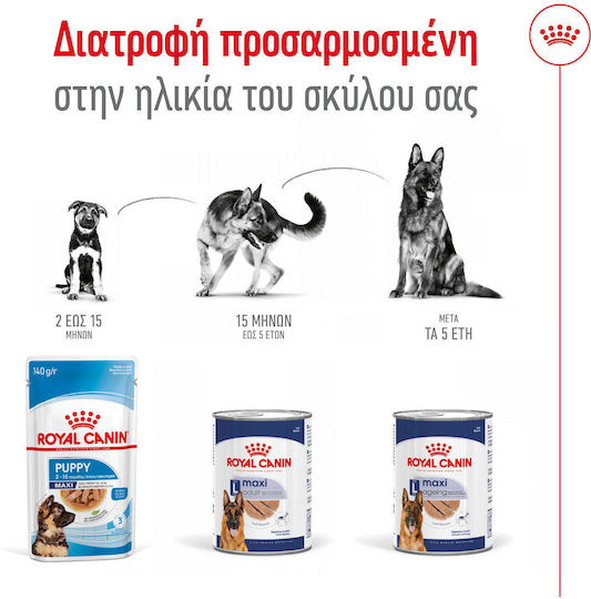 Royal Canin Maxi Wet Food for Senior Dogs Diet 12x410gr