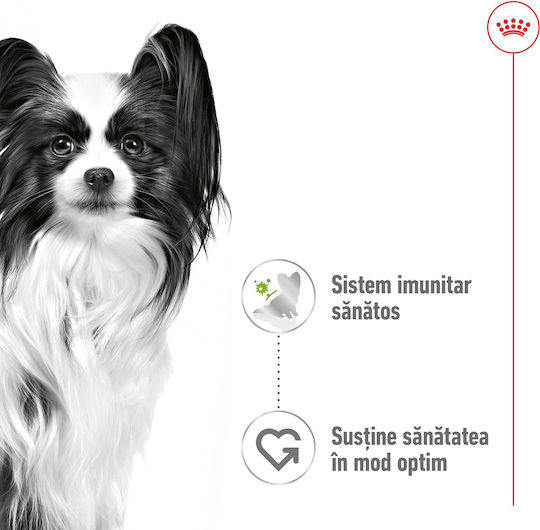 Royal Canin Υγρή Τροφή Σκύλων με Κρέας 12x85gr