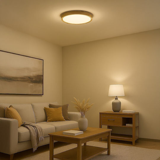 Eko Light Ceiling Light LED