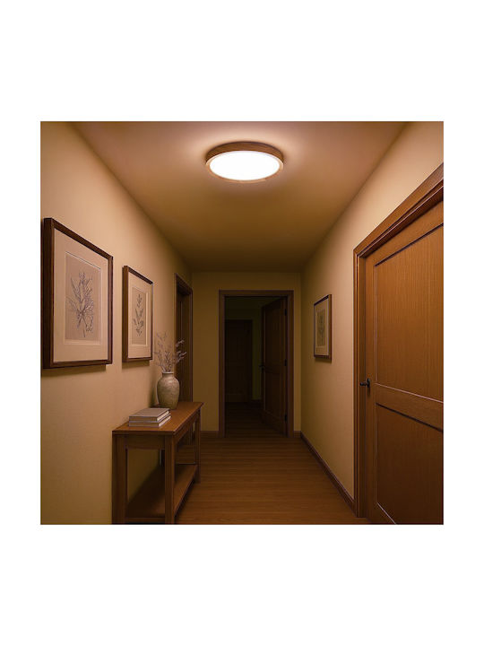 Eko Light Πλαφονιέρα Οροφής με Ενσωματωμένο LED