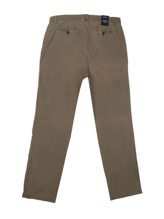 Hose Braun