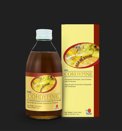 Dxn Cordypine 285 Ml
