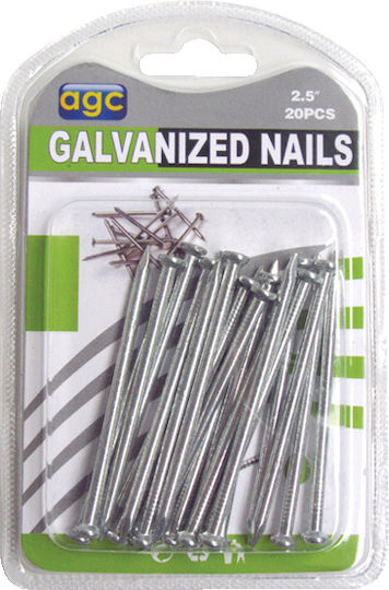 Set 20 Galvanisierte Nägel 2 5" 30601260 Enthält 6 Stück
