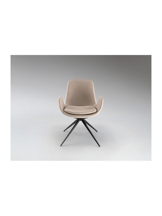Dining Room Metallic Chair Beige