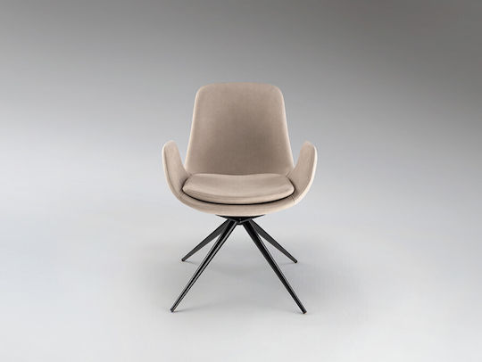 Stühle Speisesaal Beige 1Stück 59xx55cm