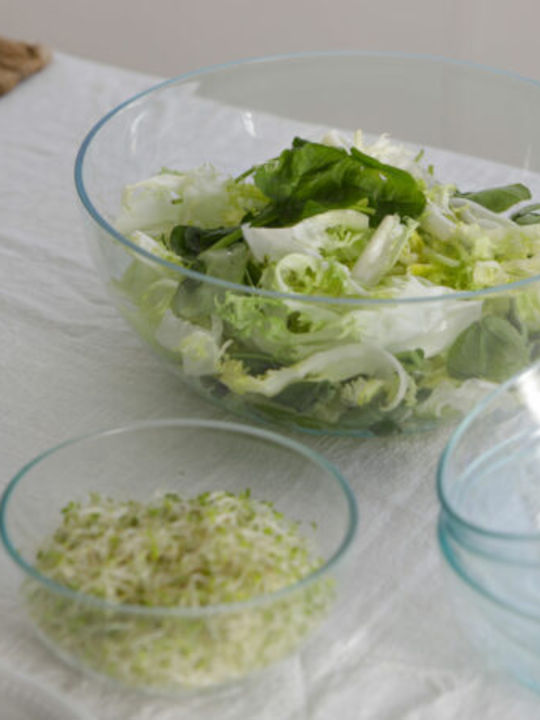 Marine Business Salatschüssel Kunststoff Transparent 1Stück