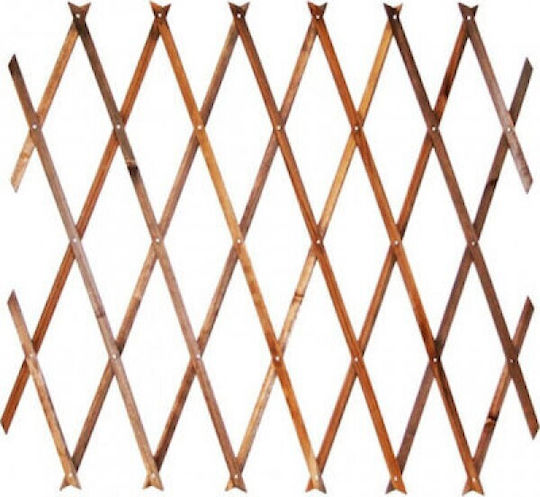Πτυσσόμενο Καφασωτό Κήπου από Πλαστικό 180x60cm