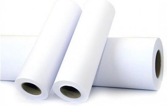 Plotter Paper Roll 300mm x 45.7m 80gr/m² PLO10104