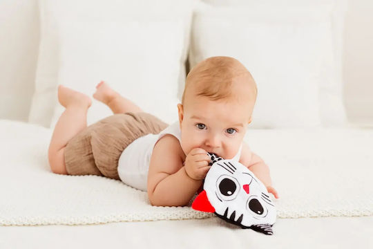 Dumel Discovery Suspendata Jucărie cu Teether pentru 0++ Luni
