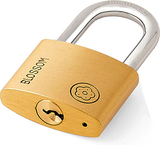 Blossom BC90 Steel Padlock Brass with Key 30mm 1pcs