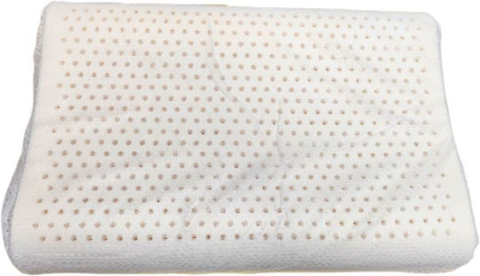 JGS S.A. Latex 60x40x10cm JGS S.A. Latex 60x40x10cm