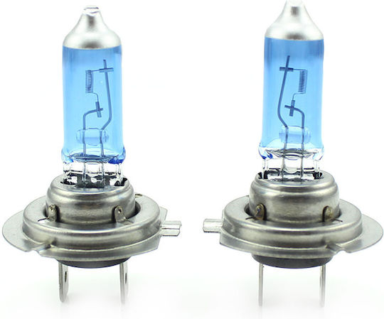 Set 2 Halogen H7 Birnenarten +100% Intensität Lange Lebensdauer CarGuard