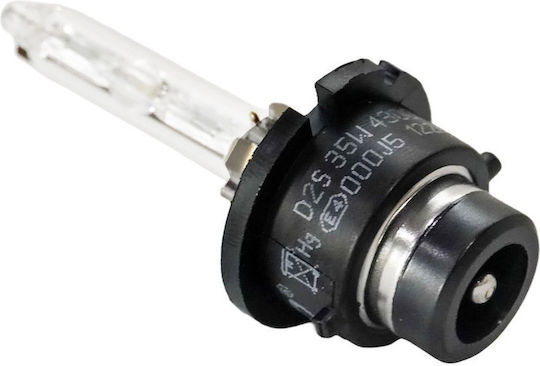 Xenon Car Bulb Carguard D2s 6000k