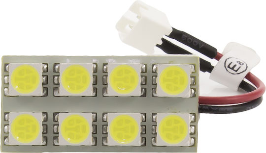 Led Smd Plate 30x15mm Carguard