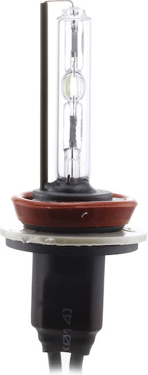 Xenon Bulb H8-4.3k Carguard