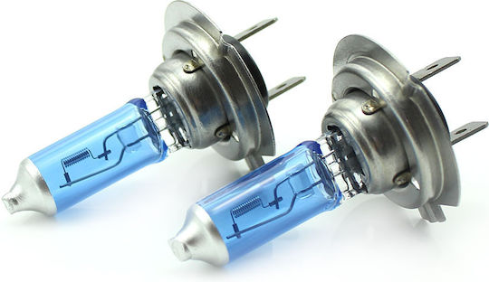 Set 1 Set 2 Halogen H7 Bulbs 100w +130% Intensity Long Life Carguard