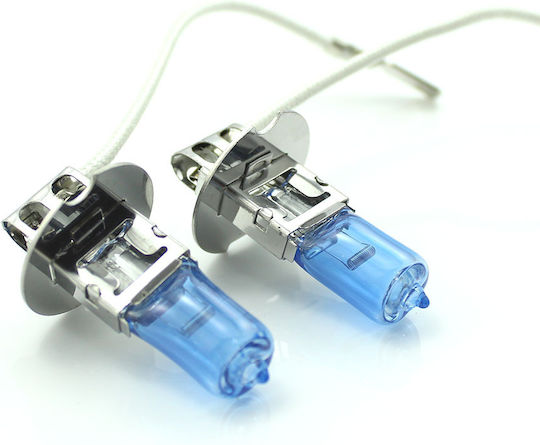 CarGuard Autolampen Halogen H3 Glühbirnen +100% Intensität Lange Lebensdauer