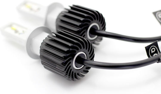 Set 1 Led H1 Carguard