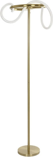 kelvo Glow LED Stehleuchte H160xB45cm. mit Einstellbarem Weißem Licht 3000lm Gold