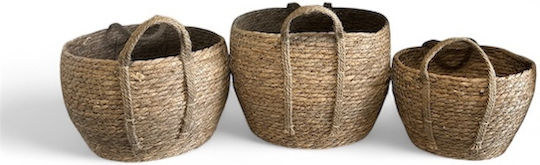 Lalos 6473 Wicker