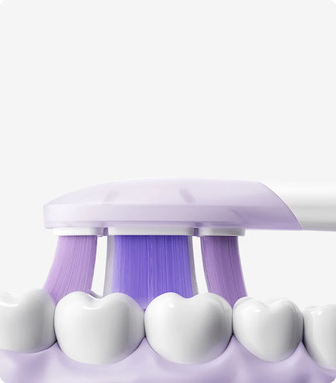 Xiaomi Ανταλλακτικές Κεφαλές για Ηλεκτρική Οδοντόβουρτσα 3τμχ