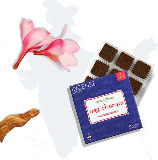 Incense Bricks Nag Champa 10 Pieces