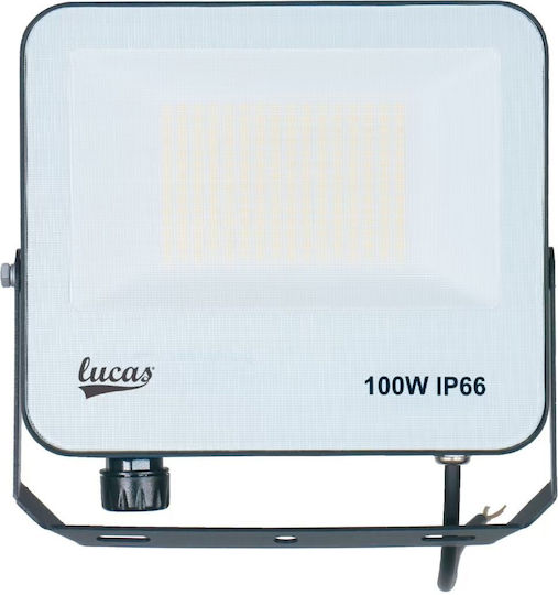 Lucas Waterproof LED Floodlight 100W Warm to Cool White IP66