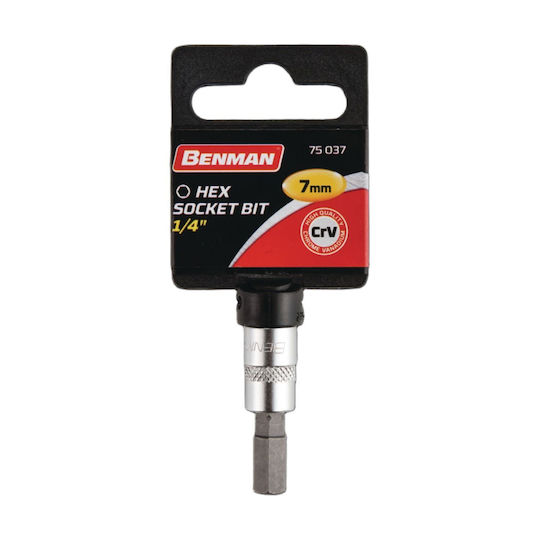 Benman Socket 1/4" Allen Walnut with Allen Head and Socket 1/4'' H8x37mm