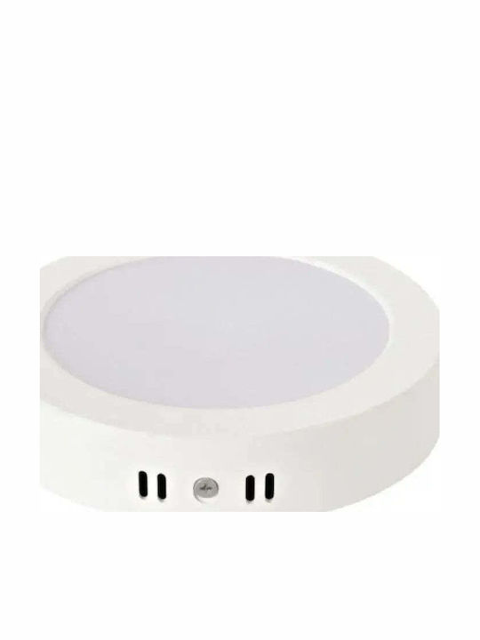 Alista Home Rotund Panou LED Putere 24W cu Alb Rece Lumini