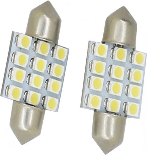 Carman Λάμπες Αυτοκινήτου LED 12V 12τμχ