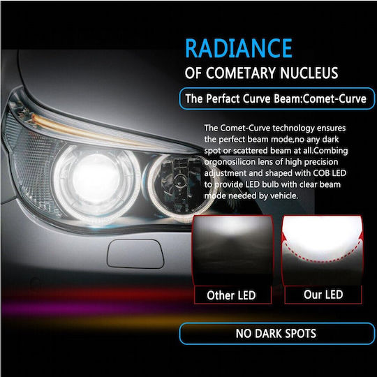 VenCore Lamps Car & Motorcycle H8 LED 6000K Cold White 12-24V / 12V 1pcs