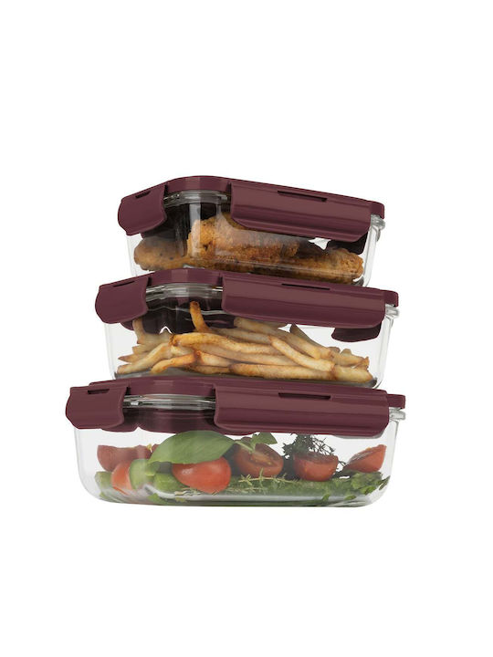 Berlinger Haus Lunchbox Glas Burgundy 3Stück