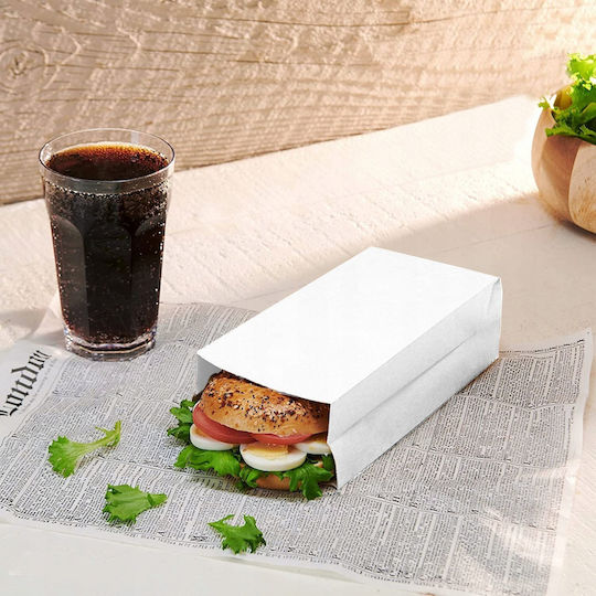 Paclan Paper Bag for Gift