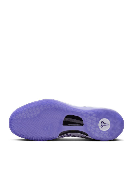 Kobe 8 Protro Court Purple "Court Purple" Μπασκετικά Παπούτσια White / Court Purple
