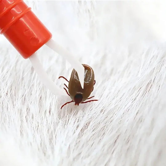 Dispozitiv Îndepărtare Căpușe Zola Plastic 1 x 9 Cm Roșu